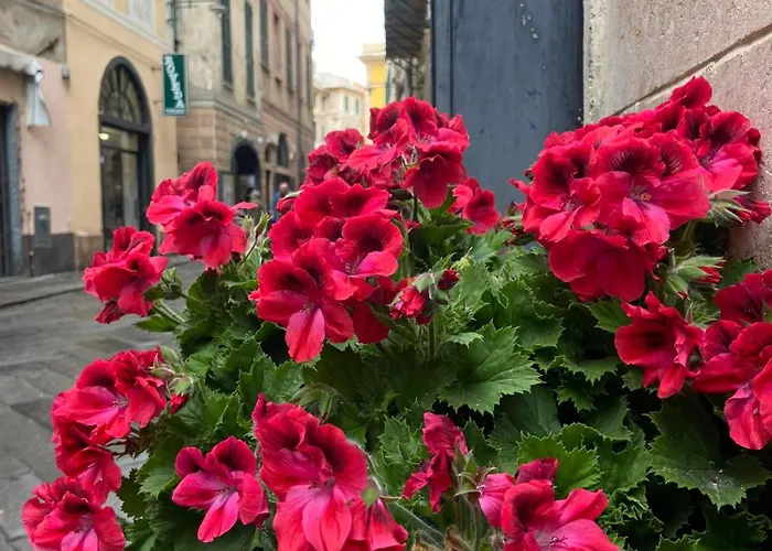 Casa Vicino Al Mare Apartment